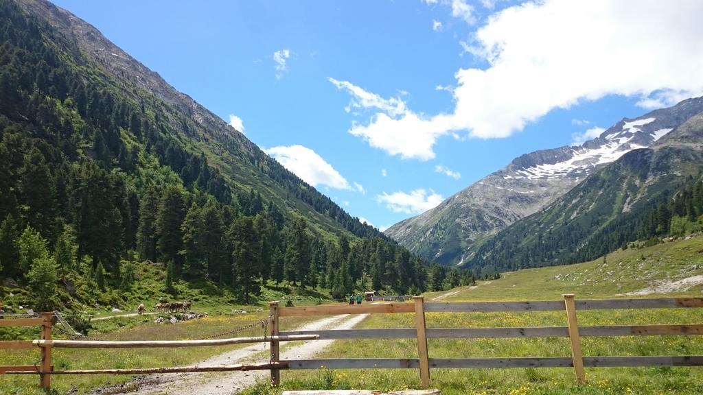 Hotel Eckartauerhof Mayrhofen Zewnętrze zdjęcie