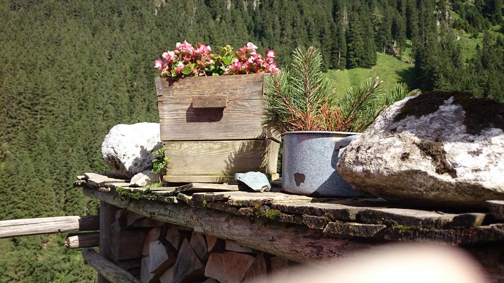Hotel Eckartauerhof Mayrhofen Zewnętrze zdjęcie