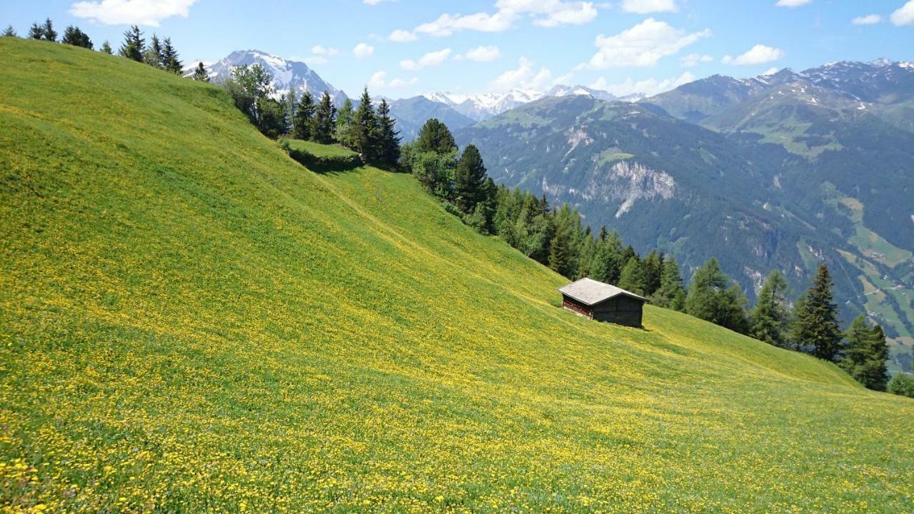 Hotel Eckartauerhof Mayrhofen Zewnętrze zdjęcie